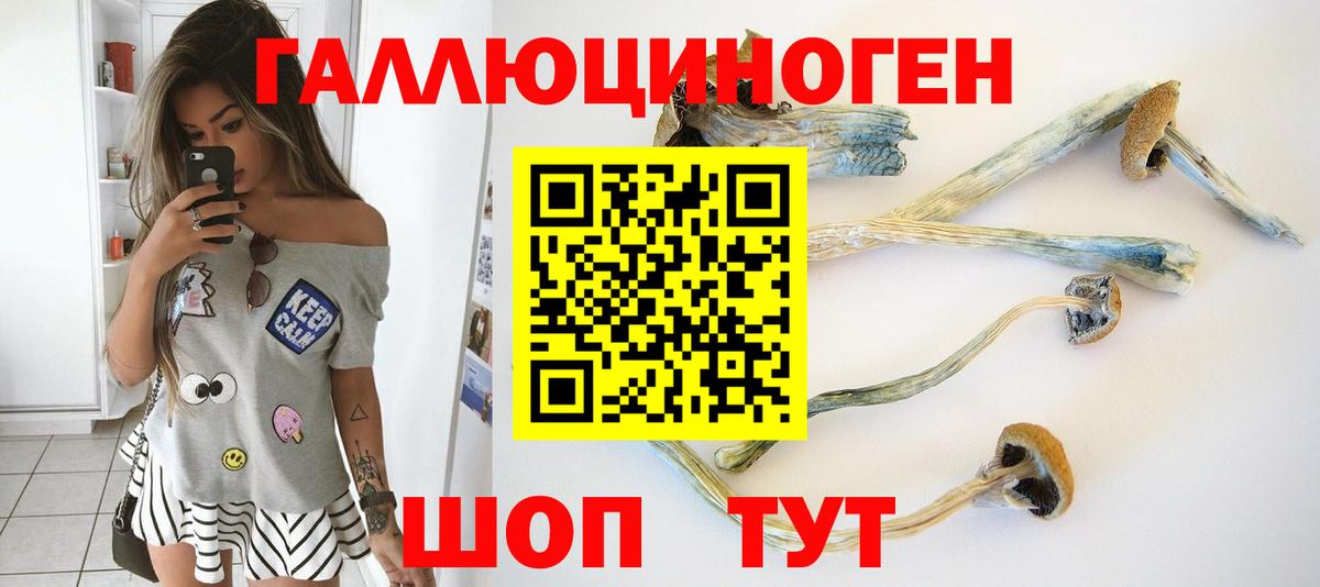Псилоцибиновые грибы мицелий Коряжма
