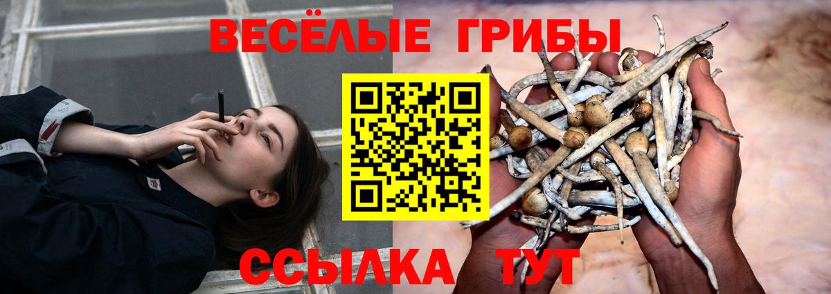 Галлюциногенные грибы Cubensis  Вход с VPN  Коряжма 